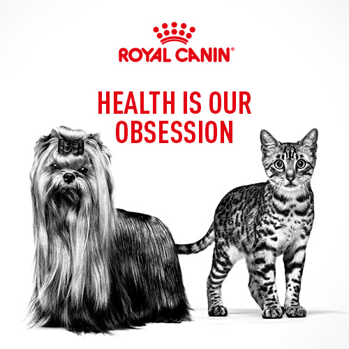 SVG_Royal-Canin_Featured