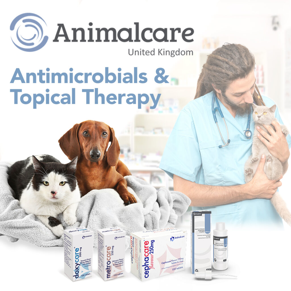 ANIMALCARE_1x1
